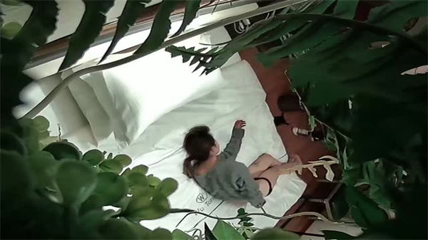 酒店偷拍绝密珍藏：绿植情趣房内少妇高潮喷水实录