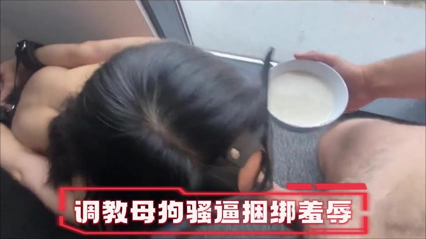 骚母狗被调教边吃鸡巴边喝精液 淫荡至极